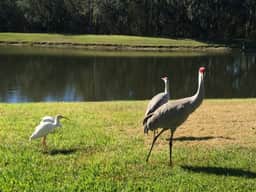 Lake View 2-Masters Near Disney & Theme Parks