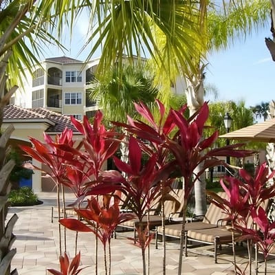 Theme Parks | No Resort Amenities No Resort Fees 