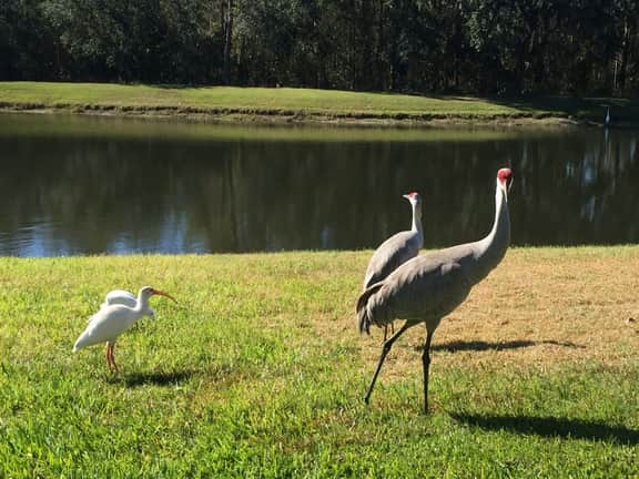 Lake View 2-Masters Near Disney & Theme Parks