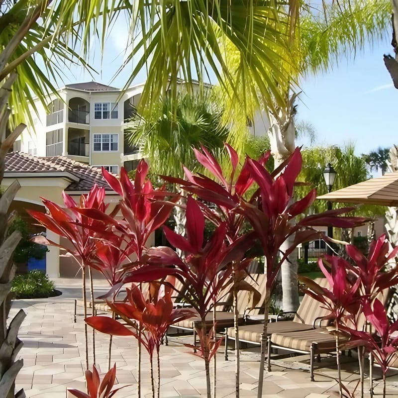 Near Theme Parks | Resort Amenities No Resort Fees